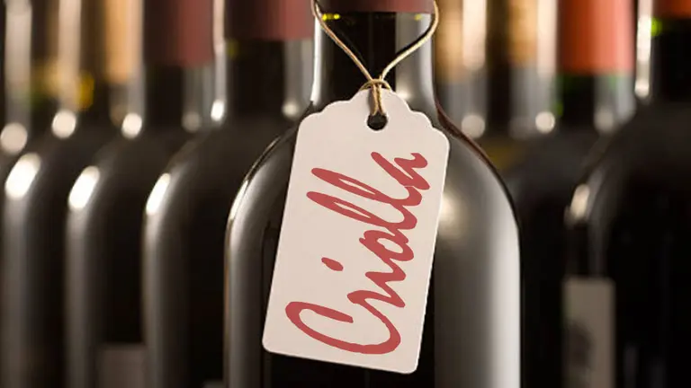 Vinos argentinos: la gran paradoja que hoy enfrenta la uva Criolla