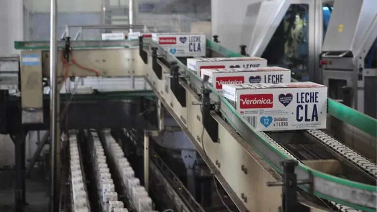 Despidos por zoom: gigante lácteo prevé recortar cientos de empleos y profundiza su parálisis