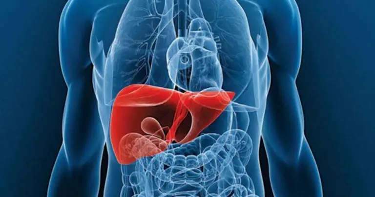 Curar el cáncer: científicos argentinos lograron reducir células tumorales