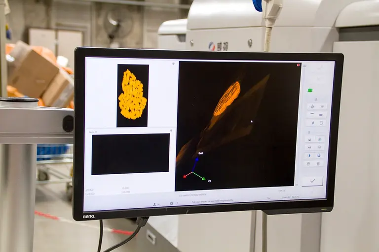 Puerta a puerta: la Aduana triplica su capacidad operativa de escaneo en el centro postal internacional