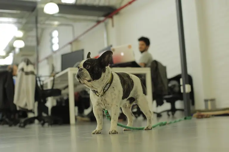 Hoy se celebra el Día Internacional de la Diversión en el Trabajo