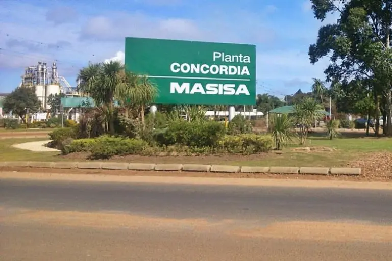 Grupo chileno pone en venta parte de sus operaciones madereras en Argentina