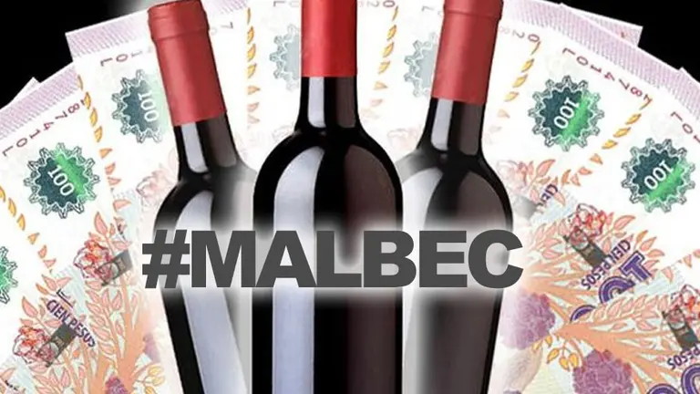 Un Malbec para cada bolsillo: 10 vinos de $100 a más de $1.000