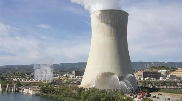 Rusia quiere construir tres centrales nucleares para la Argentina