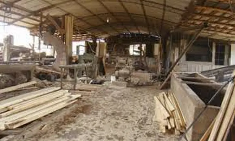 Planean invertir u$s250 millones para construir el aserradero más grande del país