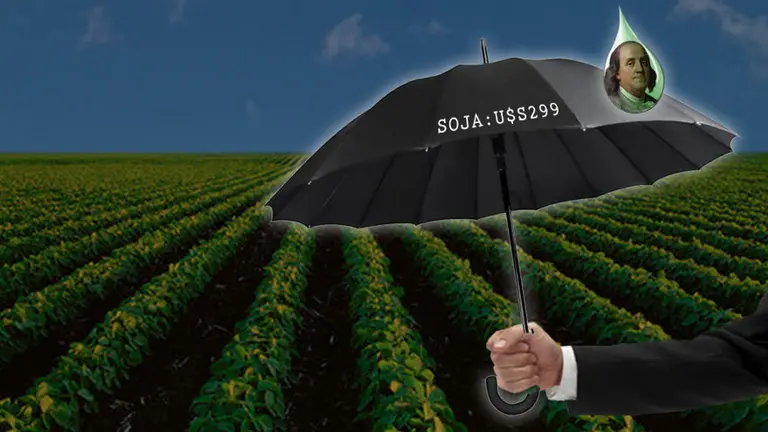 Lo que faltaba: se desploma el precio de la soja y vuelven dudas sobre la estabilidad cambiaria