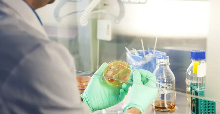 Biotecnología: una aceleradora destinará 10 millones de dólares para potenciar el rubro