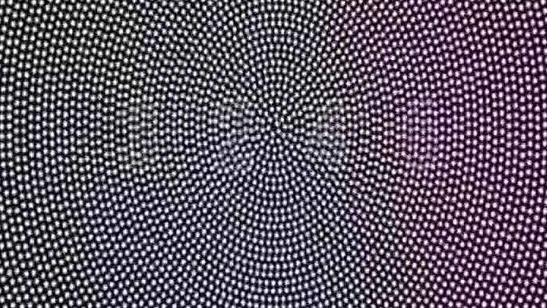 ¿Qué número ves? Un test viral revela si tenés buena vista o necesitás anteojos