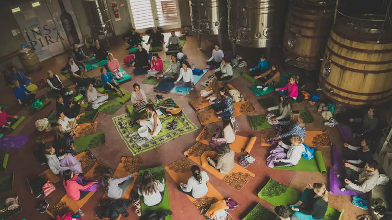 Vinos y relax: más de 500 personas practicaron yoga en bodegas de Mendoza