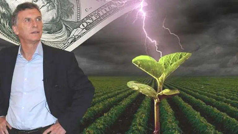 Mercado en shock: hay casi 25 millones de toneladas de soja sin vender y temen "mega canuto"