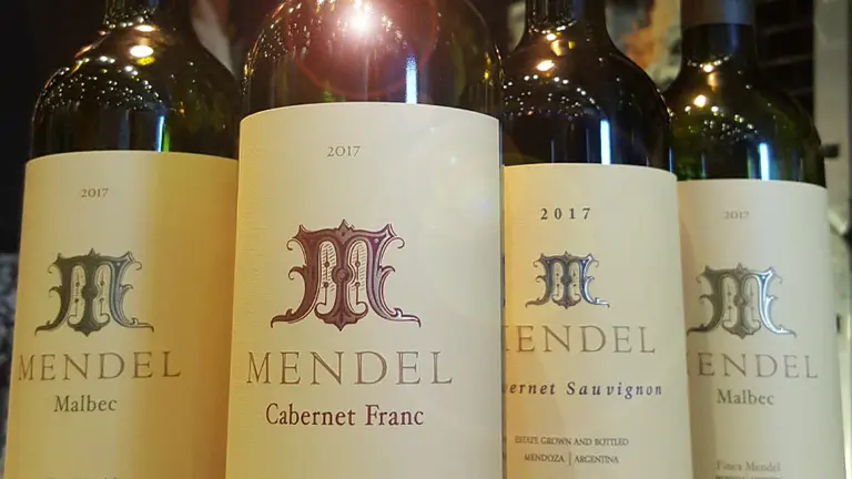 Vinos: cómo es el nuevo Cabernet Franc con el sello de De la Mota