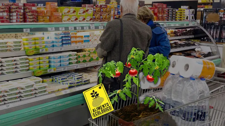 Comer sano: la agroecología suma miles de hectáreas y el modelo ya se "exporta"