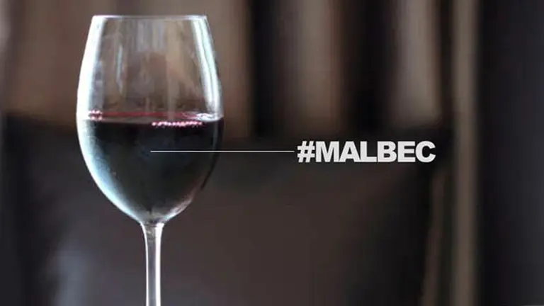 El Malbec en números: por qué es el vino emblema de Argentina