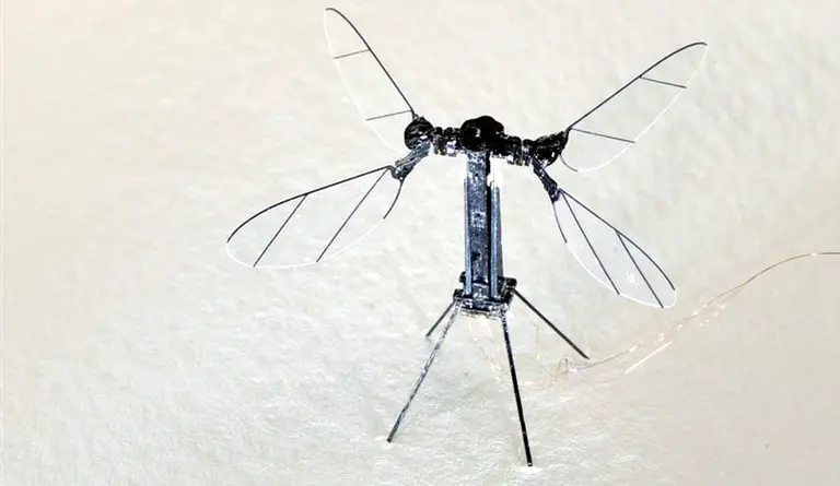 Un mosquito robot es la máquina voladora más ligera del mundo