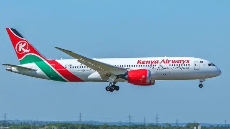 Un hombre cayó desde un avión de pasajeros antes de su aterrizaje en Londres