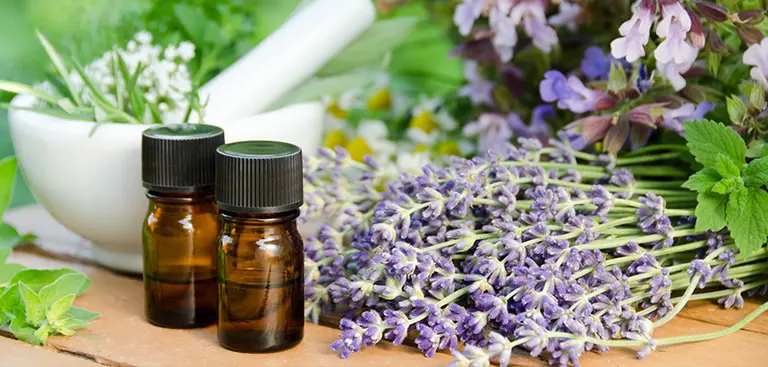 Cuáles son las principales críticas hacia la medicina homeopática