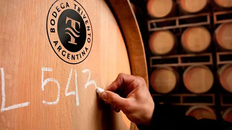 Cinco vinos para descubrir qué ofrece Trivento en la alta gama