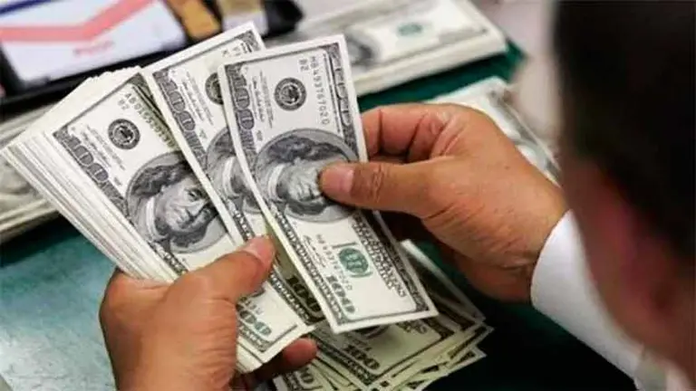Dólar: los tres escenarios que maneja el mercado para fin de año