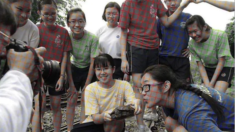 ¿De color o blanco y negro? La nueva ilusión óptica que desconcierta a los usuarios