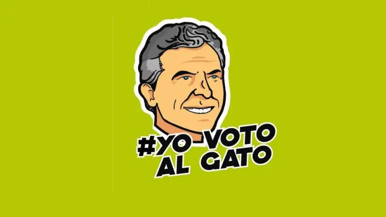 En el día internacional del gato, viralizaron una insólita campaña del macrismo