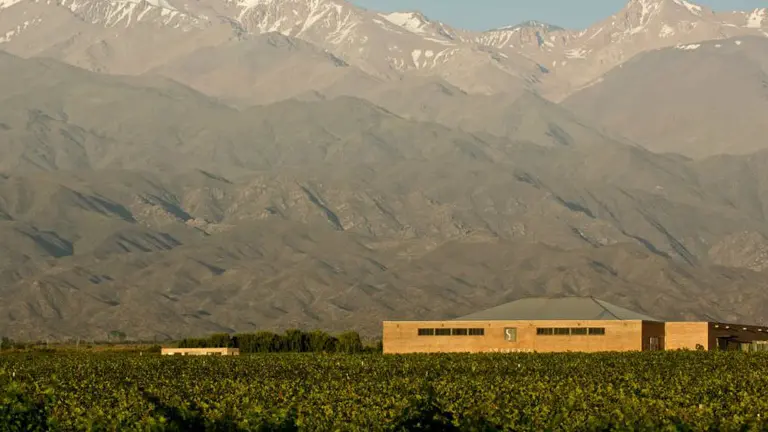 Vinos y medioambiente:  Finca Sophenia ya es bodega sustentable