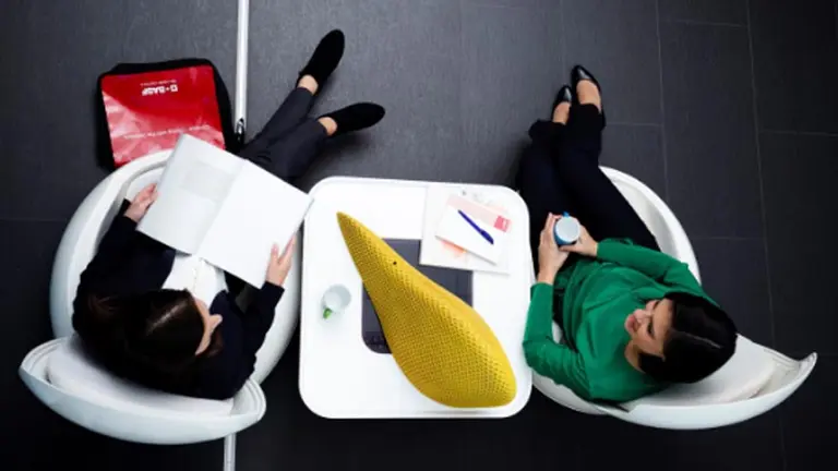 BASF lanzó la segunda edición de su Programa de Pasantías 2019