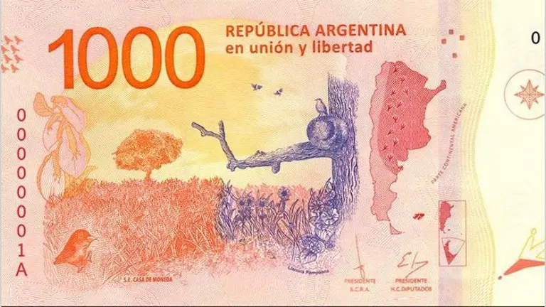 A 21 meses de su lanzamiento, el billete de $1.000 ya perdió más del 70% de su valor en dólares