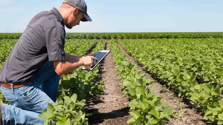Son argentinos y crearon el "Tinder" del agro: utiliza inteligencia artificial para unir productores con empresas