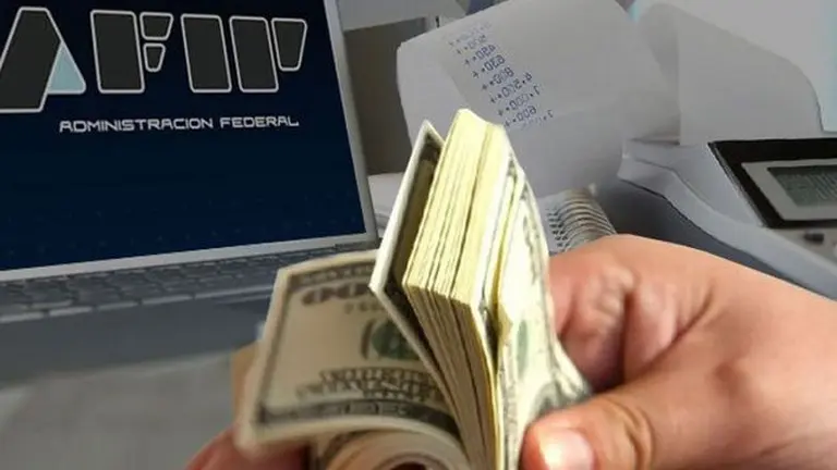 Compra de dólares: cuáles son los controles de la AFIP sobre el nuevo cepo cambiario