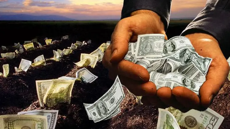 China comprará harina de soja argentina: cuáles son las empresas que se quedarán con el negocio