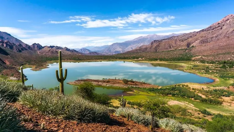 Del recorrido por la cancha de Boca al tours sustentable: Así se atraen turistas al país
