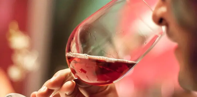 ¿Te apasionan los vinos?: por qué esta feria en Buenos Aires es el mejor plan