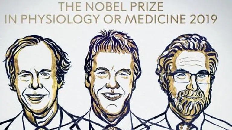 Premian con Nobel de Medicina científicos que estudian las células para combatir el cáncer: qué descubrieron