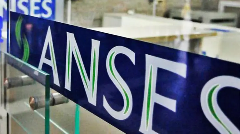 ANSES: cómo sacar e imprimir la constancia de CUIL