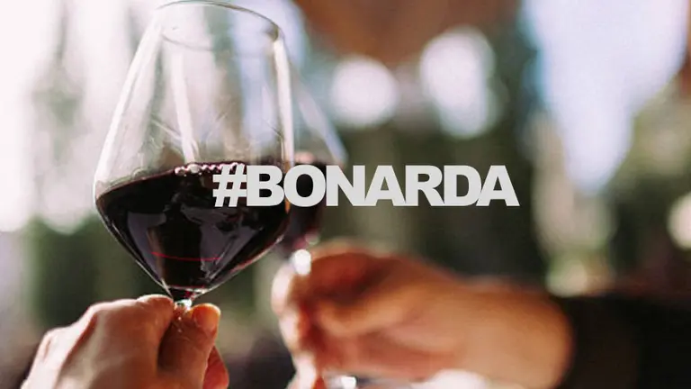 Tendencia en vinos: la Bonarda vuelve a brillar en la Argentina