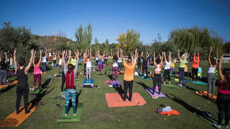 ¿Yoga entre vinos y viñedos?: así es el original ciclo organizado en Mendoza