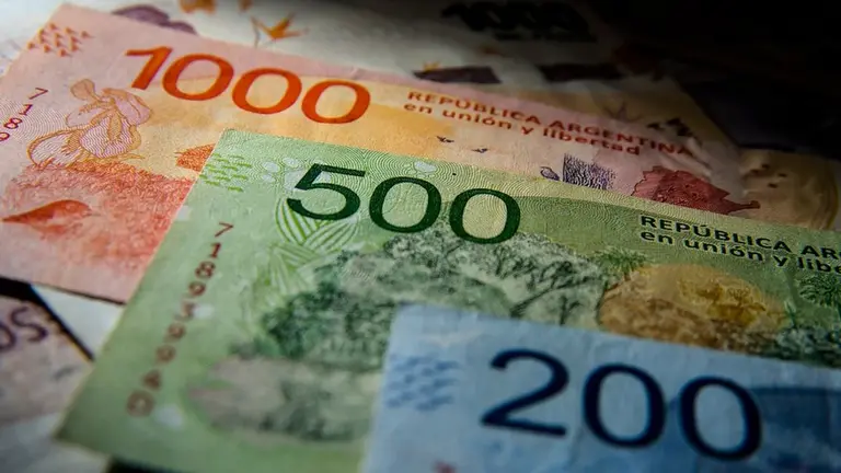 Titular del BCRA adelantó que en 6 meses lanzarán nuevos billetes: serán sin animales y de mayor denominación