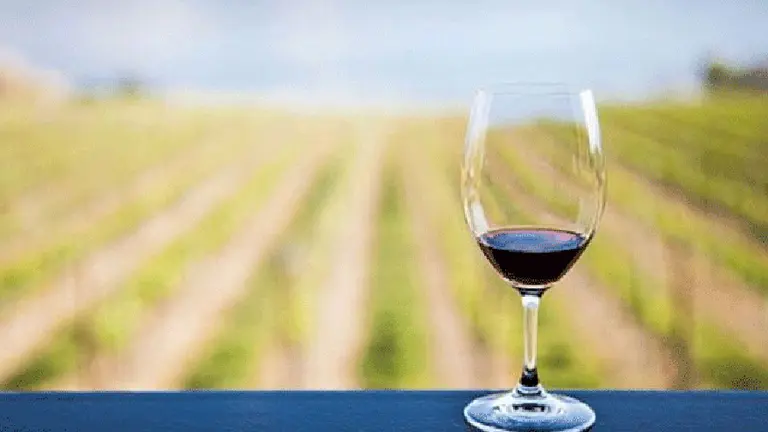 Alerta por el cambio climático: así se verá alterado el negocio del vino a nivel mundial