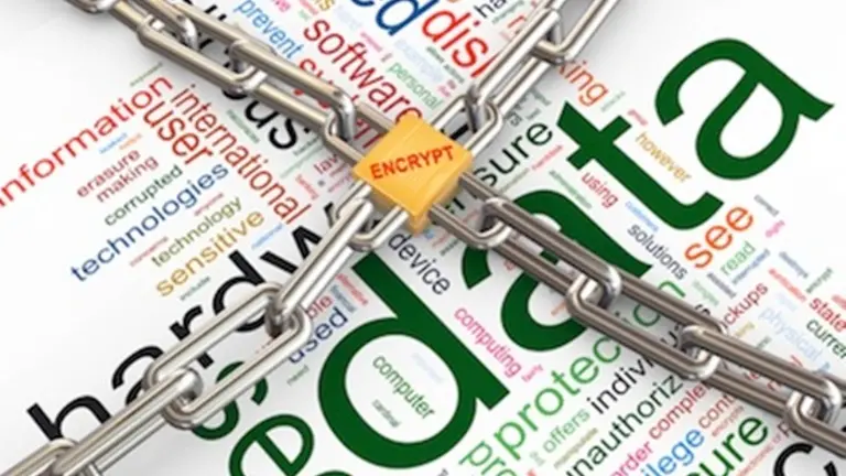 Día de la protección de los datos personales: mitos y verdades sobre su uso y privacidad