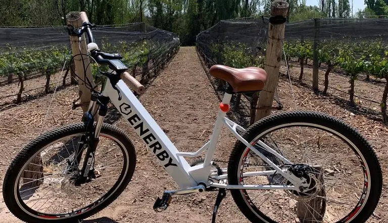 Cuánto cuestan las bicicletas eléctricas que promociona el Gobierno