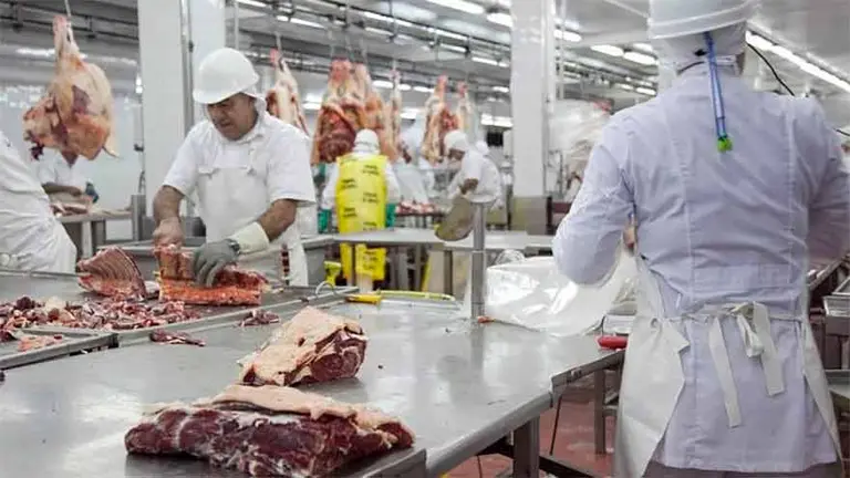 Otro dolor de cabeza para Alberto: Rusia frena importaciones de cinco frigoríficos argentinos y podría ampliar la medida