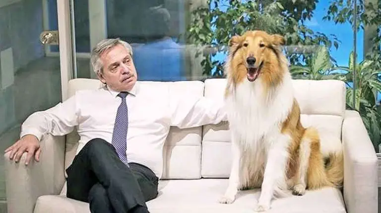 Las últimas horas de Alberto Fernández con su perro Dylan antes de asumir