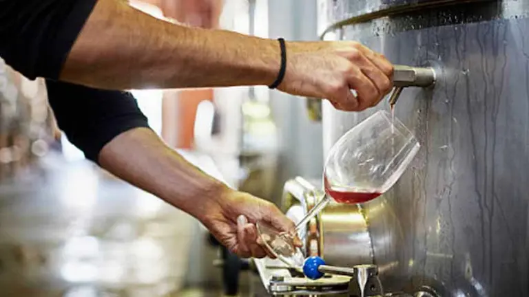 Vinos: quién es el argentino que fue nominado como mejor enólogo del mundo