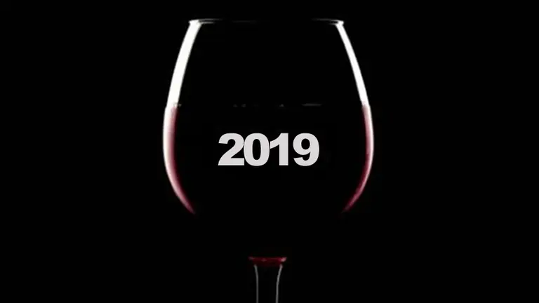Vinos argentinos: estas son las 30 mejores novedades del 2019