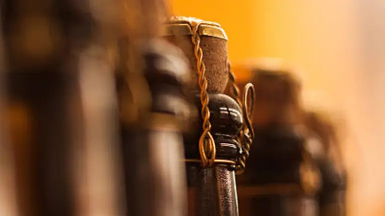 Clásicos, innovadores y de estreno: 12 espumantes de diferentes precios para arrancar el 2020