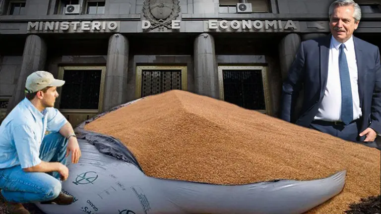 ¿La soja deja de brillar?: por impuestos y retenciones, no sería rentable en varias zonas de la Provincia