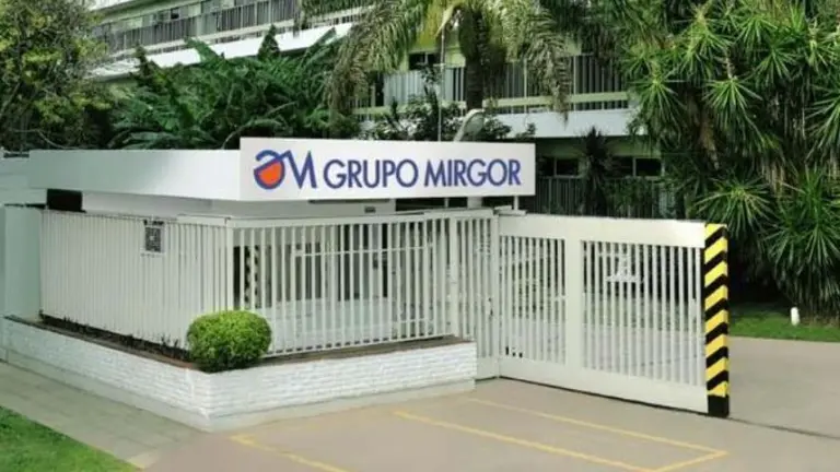 Las acciones de Mirgor ocuparon el segundo lugar con mejor desempeño al cierre del año
