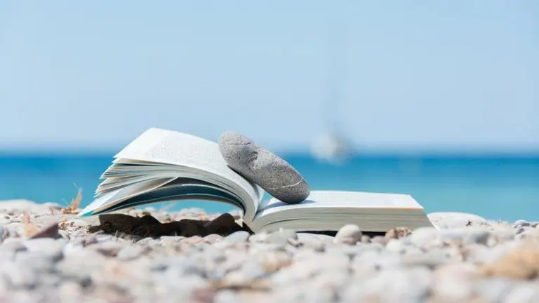 El gerente de Noblex, lecciones de liderazgo, el kirchnerismo y más Piketty: los mejores libros para el verano