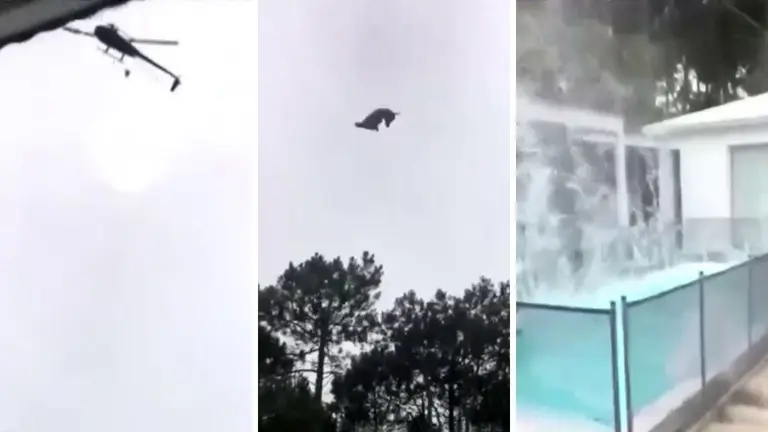 Qué pena podría tener la persona que tiró el cordero desde un helicóptero en Punta del Este