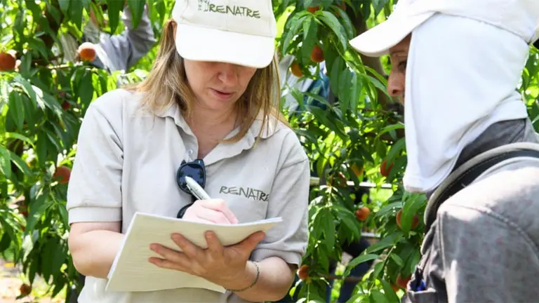 El Renatre detectó casi 13.000 trabajadores no registrados durante fiscalizaciones de 2019